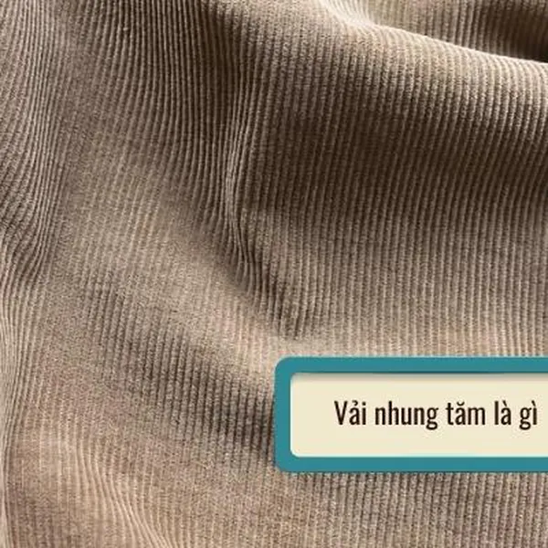 Vải nhung sọc tăm - xu hướng mới trong làng thời trang