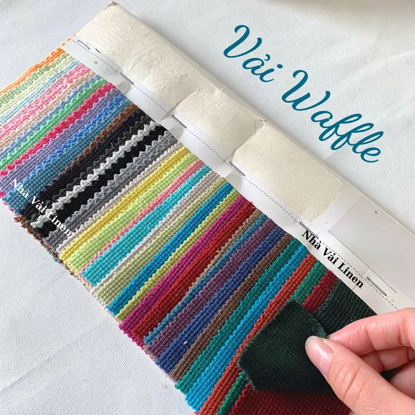 Bảng màu vải waffle