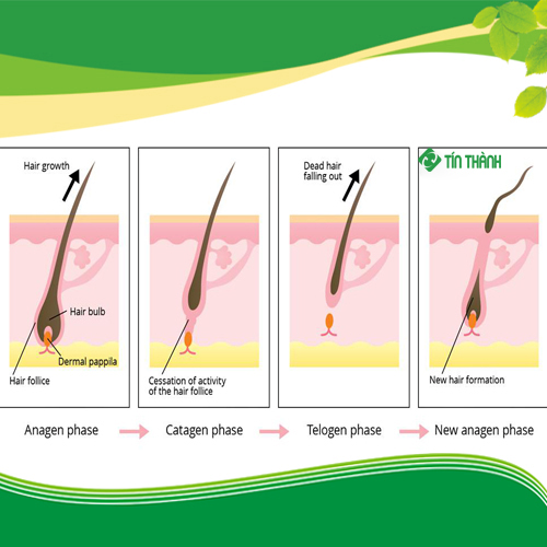 Máy triệt lông OPT SHR có tốt không? Máy triệt lông OPT SHR có tốt không?