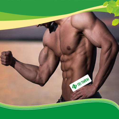 4 nguyên tắc tăng cơ giảm mỡ là gì bạn có biết chưa? 4 nguyên tắc tăng cơ giảm mỡ là gì bạn có biết chưa?