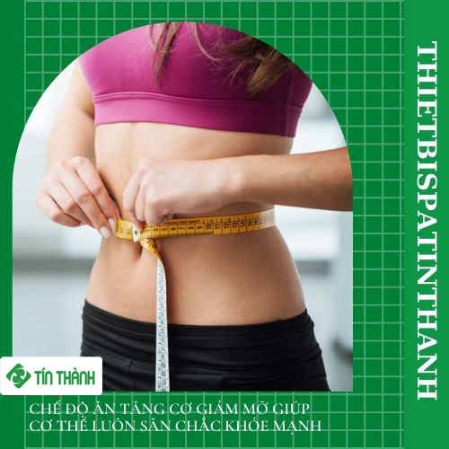 Chế độ ăn tăng cơ giảm mỡ giúp cơ thể luôn săn chắc khỏe mạnh Chế độ ăn tăng cơ giảm mỡ giúp cơ thể luôn săn chắc khỏe mạnh