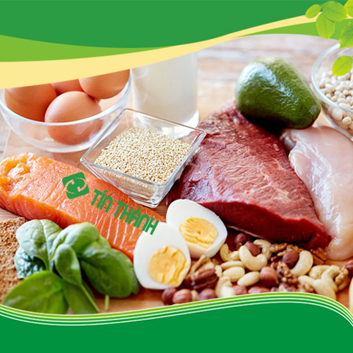 Cách tăng cơ giảm mỡ cùng lúc cho hiệu quả tốt nhất Cách tăng cơ giảm mỡ cùng lúc cho hiệu quả tốt nhất