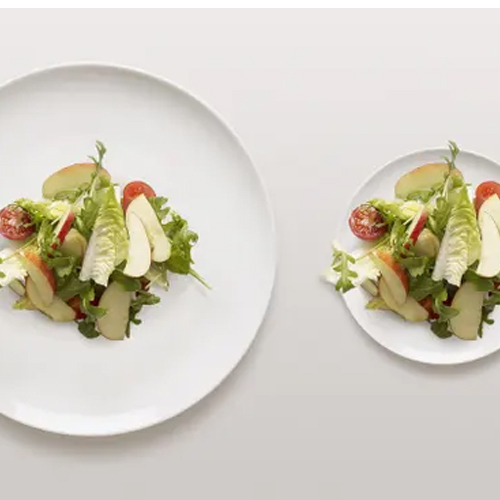 Sử dụng đĩa nhỏ hơn là một trong những Bí quyết ăn nhiều mà không béo Sử dụng đĩa nhỏ hơn là một trong những Bí quyết ăn nhiều mà không béo