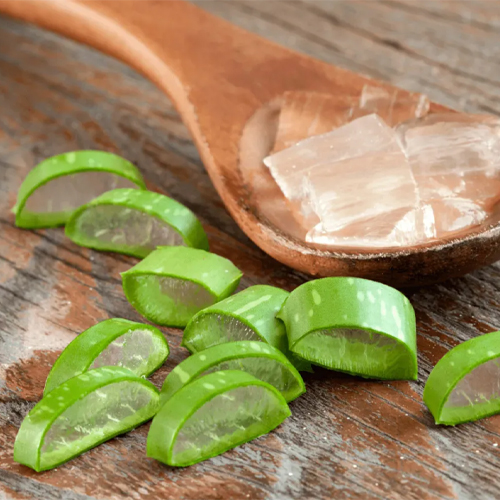 Cách làm trắng da tự nhiên tại nhà nhanh nhất bằng nha đam Cách làm trắng da tự nhiên tại nhà nhanh nhất bằng nha đam