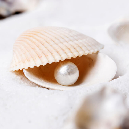 Đắp mặt nạ ngọc trai có tốt không ? Đắp mặt nạ ngọc trai có tốt không ?