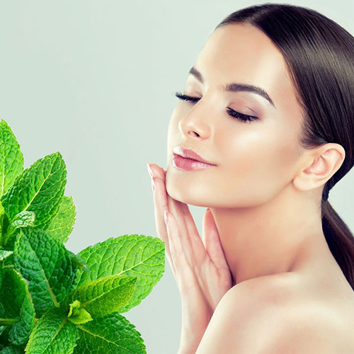 Lợi ích của Mặt nạ bạc hà trị mụn Lợi ích của Mặt nạ bạc hà trị mụn