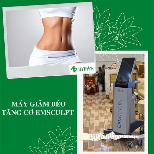 Máy giảm béo bụng loại nào tốt dành cho Spa Máy giảm béo bụng loại nào tốt dành cho Spa