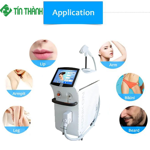 Các vùng điều trị của Máy triệt lông diode laser 808KK-1200 Các vùng điều trị của Máy triệt lông diode laser 808KK-1200
