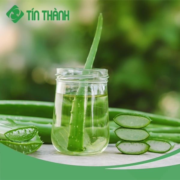 Gel lô hội Aloevera 100% Hàn Quốc (500ml) - Alovera Gel