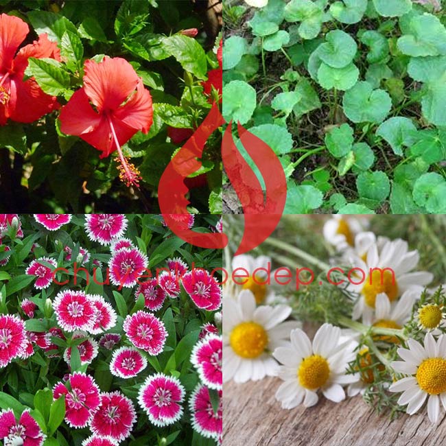 Hydrogel Mask Radicell