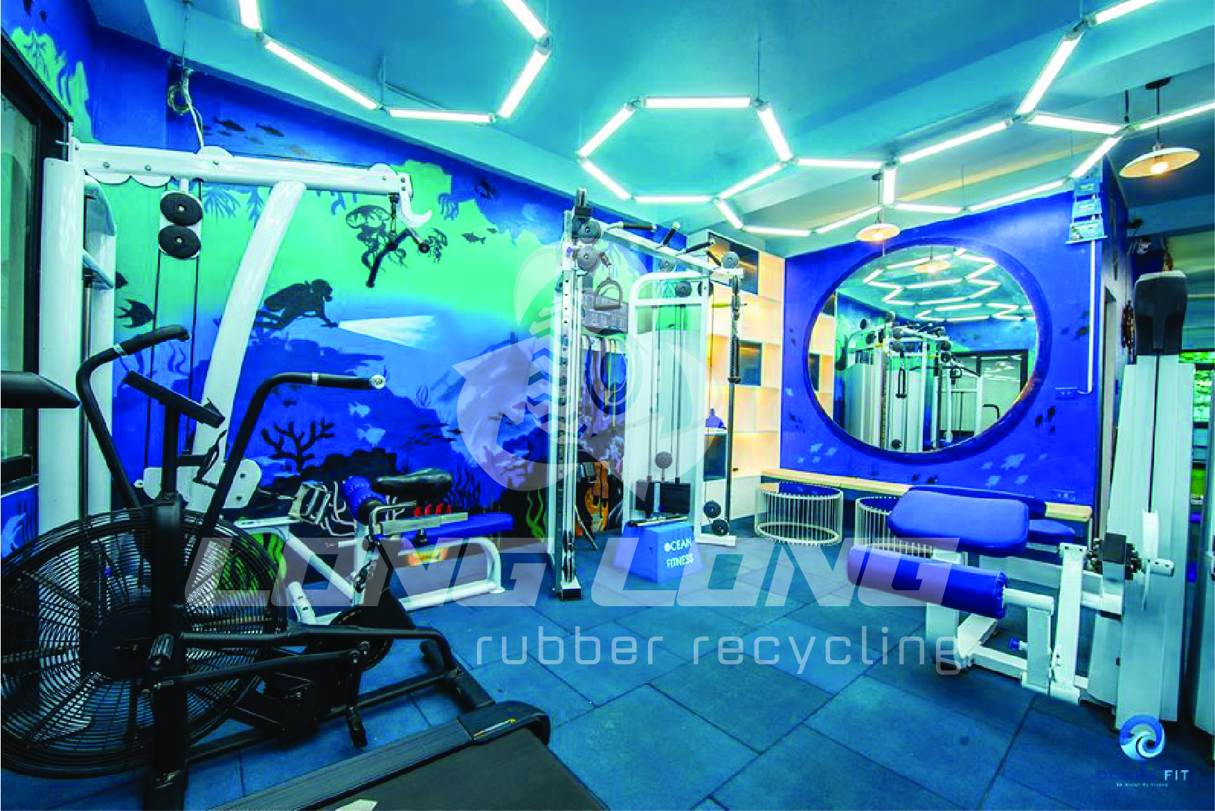 gach-cao-su-tieu-chuan gach-cao-su-tieu-chuan