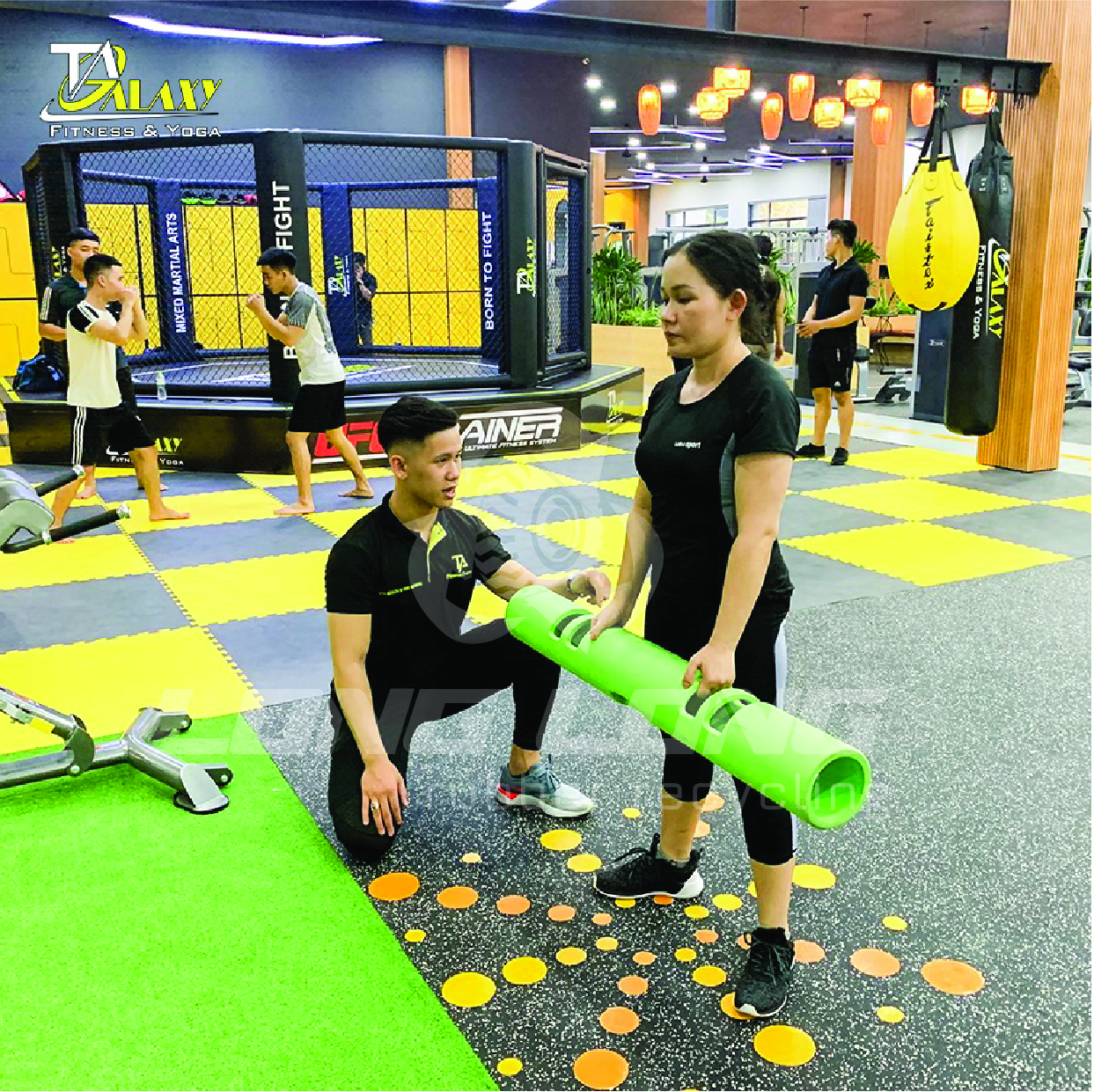 gach-cao-su gach-cao-su