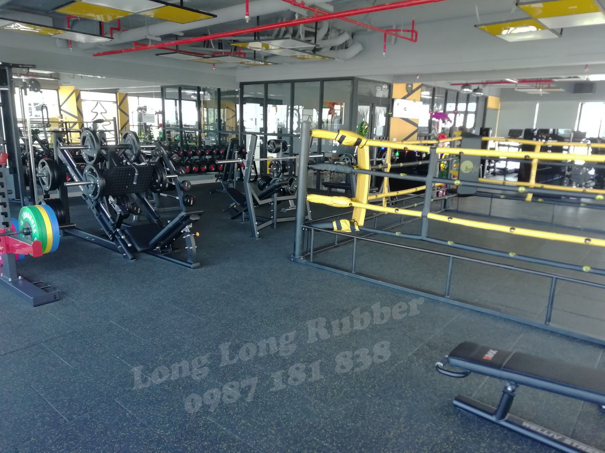 gach-cao-su-phong-gym gach-cao-su-phong-gym