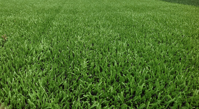 Hạt cao su tại Hà Nội Hạt cao su tại Hà Nội