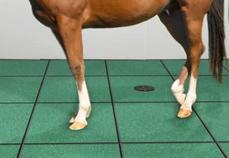 Horse Stable Rubber Tiles  Horse Stable Rubber Tiles