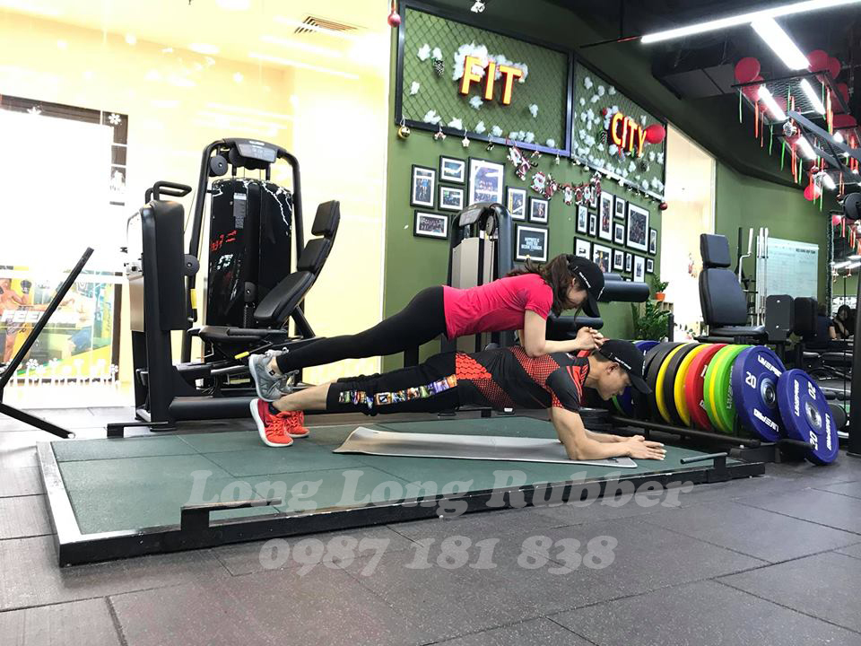 Premium Rubber Gym Mats Premium Rubber Gym Mats