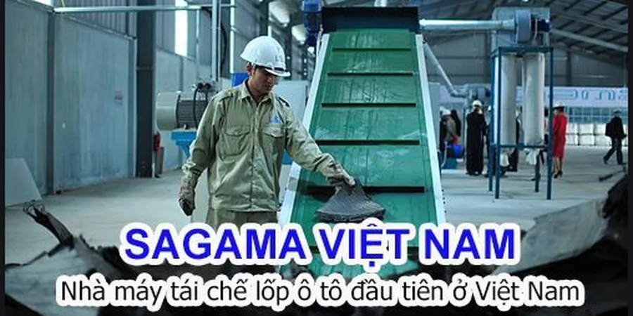 CAO SU TÁI SINH DẠNG TẤM