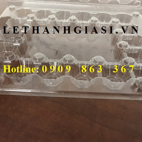 vỉ nhựa đựng trứng cút vỉ nhựa đựng trứng cút