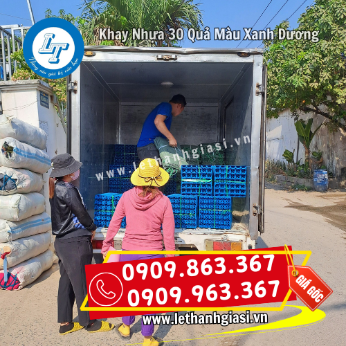 ví trứng giá rẻ giao nhanh ví trứng giá rẻ giao nhanh