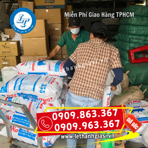 hỗ trợ giao nhanh hỗ trợ giao nhanh