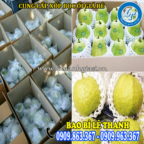 xốp bọc ổi gia tăng giá trị kinh tế xốp bọc ổi gia tăng giá trị kinh tế