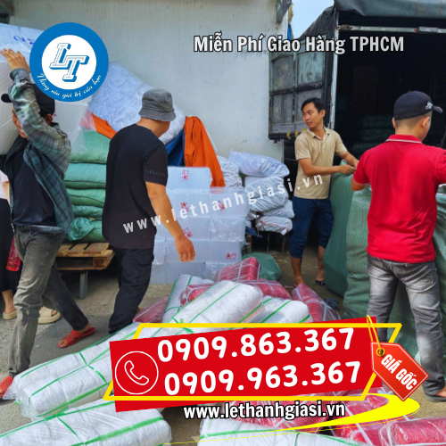 vận chuyển nhanh vận chuyển nhanh