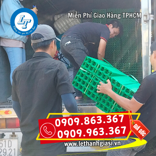 vỉ trứng giá rẻ giao nhanh vỉ trứng giá rẻ giao nhanh