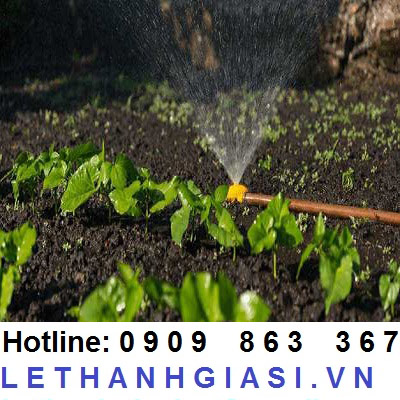 tưới phun mưa tự động tưới phun mưa tự động
