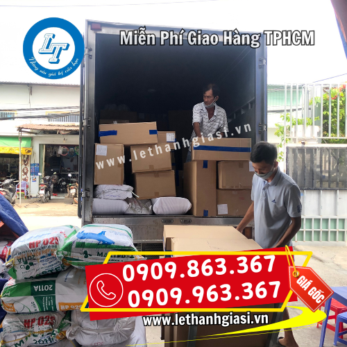 hỗ trợ giao nhanh hỗ trợ giao nhanh