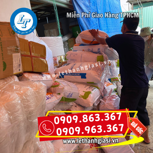 vận chuyển nhanh vận chuyển nhanh