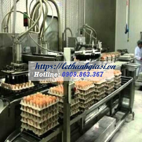 vỉ giấy - khay giấy đựng trứng giá rẻ