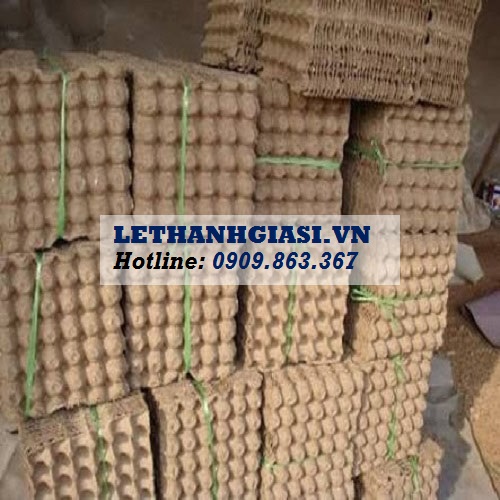 Công ty Lê Thanh phân phối vỉ giấy - khay giấy đựng trứng giá rẻ nhất tphcm