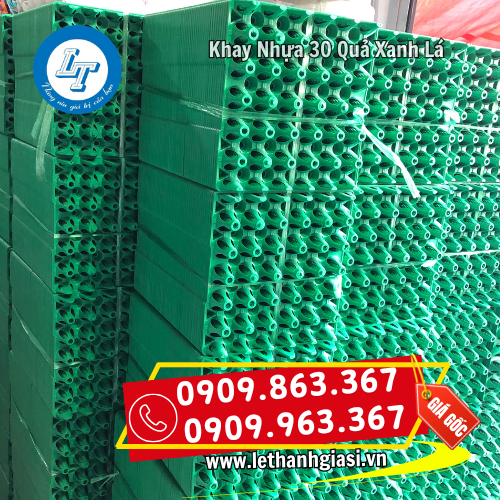 bán sỉ khay nhựa 30 quả đựng trứng màu xanh lá giá rẻ sẵn kho bán sỉ khay nhựa 30 quả đựng trứng màu xanh lá giá rẻ sẵn kho