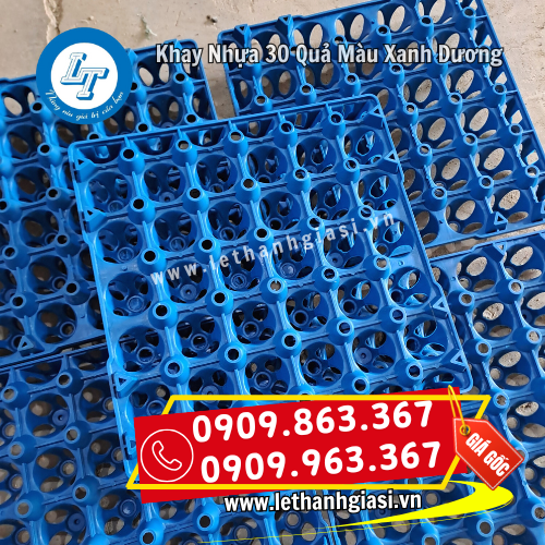 bán sỉ khay nhựa đựng trứng 30 quả màu xanh dương giá rẻ bán sỉ khay nhựa đựng trứng 30 quả màu xanh dương giá rẻ