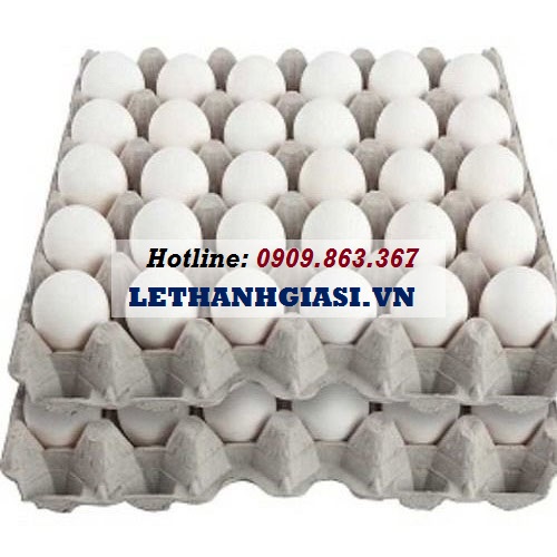 địa chỉ cung cấp vỉ giấy - khay giấy đựng trứng giá rẻ