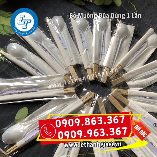 bộ muỗng đũa dùng 1 lần đóng bao bì từng bộ bộ muỗng đũa dùng 1 lần đóng bao bì từng bộ