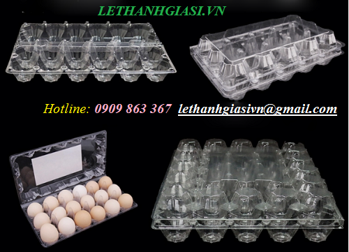 Ví đựng trứng bằng nhựa mỏng, trong suốt (khay nhựa PET đựng trứng)