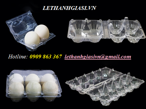 Các loại vỉ đựng trứng: 2 lỗ, 4 lỗ, 6 lỗ