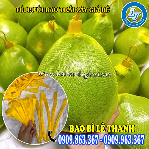 chuyên bán sỉ túi lưới bao trái cây giá rẻ nhất tphcm chuyên bán sỉ túi lưới bao trái cây giá rẻ nhất tphcm