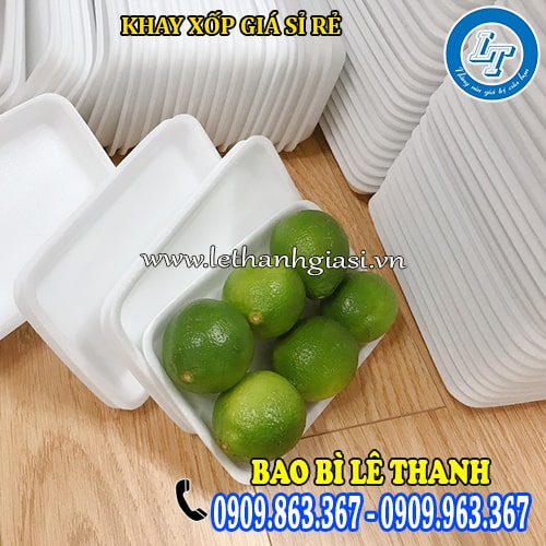 khay xốp 6 trái chanh giá rẻ chất lượng chuyên sỉ khay xốp 6 trái chanh giá rẻ chất lượng