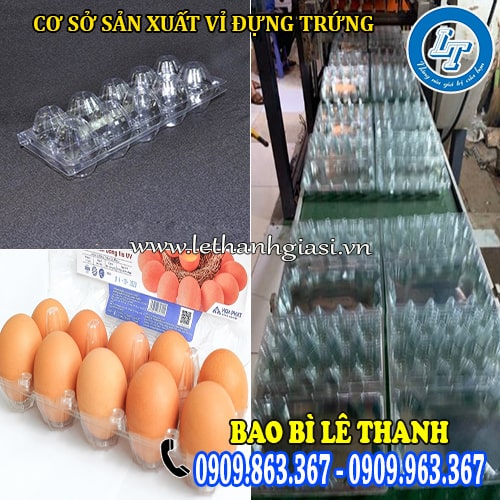 nơi sản xuất vỉ đựng trứng uy tín tphcm nơi sản xuất vỉ đựng trứng uy tín tphcm