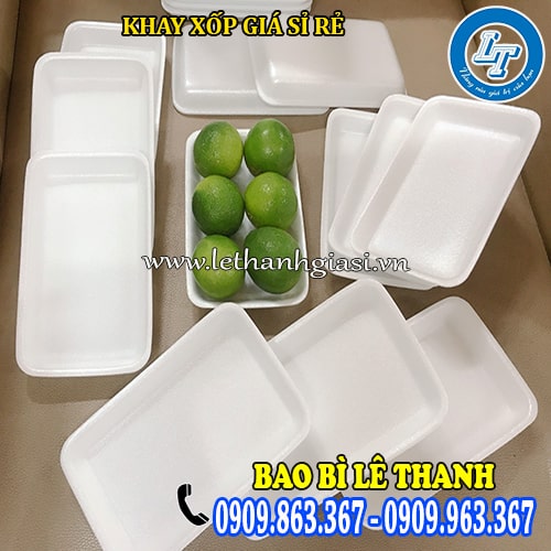 cung cấp khay xốp 6 trái chanh giá sỉ rẻ cung cấp khay xốp 6 trái chanh giá sỉ rẻ