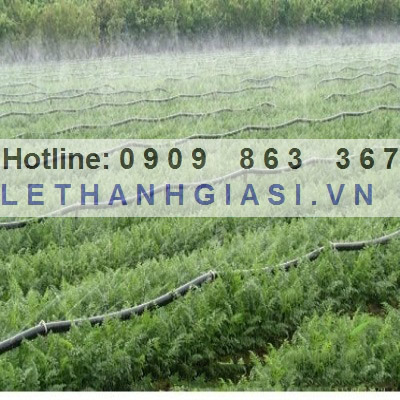 dây phun mưa dây phun mưa