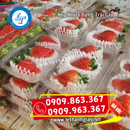 hộp nhựa đựng trái cây bắt mắt hộp nhựa đựng trái cây bắt mắt