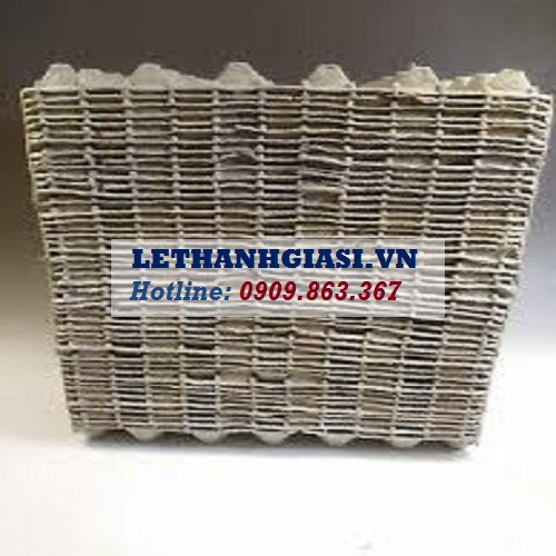 vỉ đựng trứng bằng giấy.