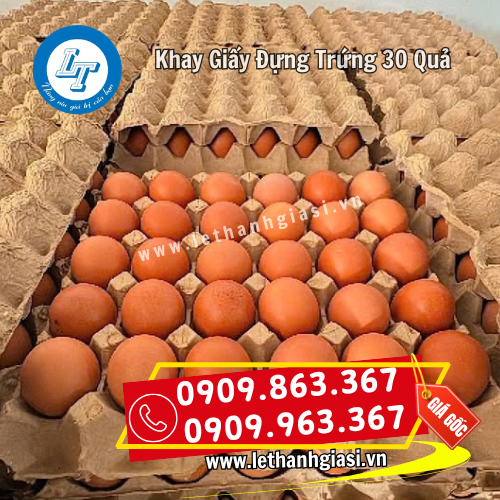 khay giấy 30 quả bảo quản trứng tối ưu khay giấy 30 quả bảo quản trứng tối ưu