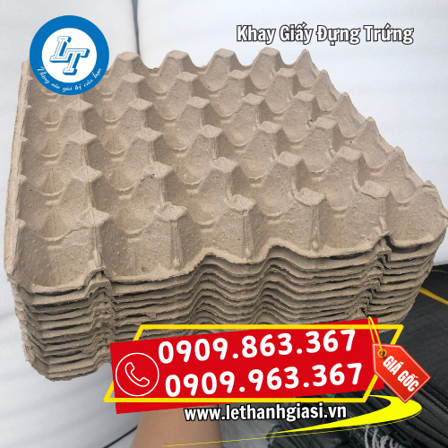 khay giấy đựng trứng dễ phân huỷ khay giấy đựng trứng dễ phân huỷ