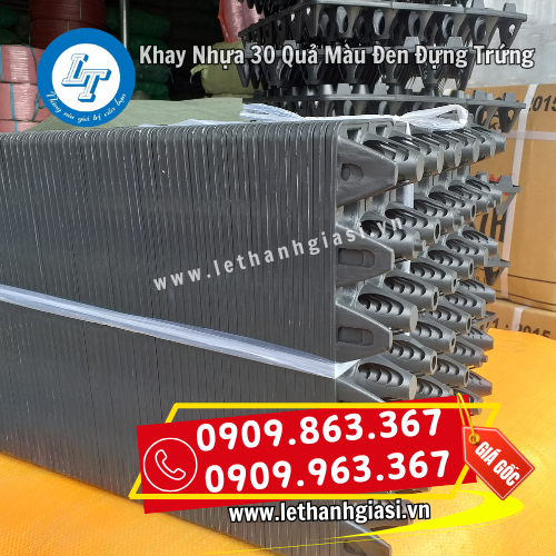 khay nhựa 30 quả màu đen đựng trứng giá rẻ bền đẹp khay nhựa 30 quả màu đen đựng trứng giá rẻ bền đẹp