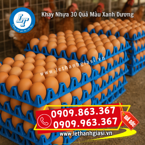 khay nhựa đựng trứng 30 quả màu xanh dương sử dụng tại chuồng trại khay nhựa đựng trứng 30 quả màu xanh dương sử dụng tại chuồng trại