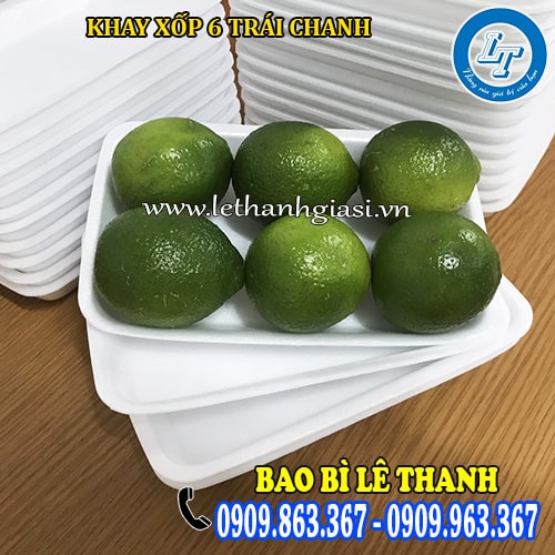 khay xốp đựng 6 trái chanh tiện lợi khay xốp đựng 6 trái chanh tiện lợi